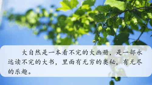 22 读不完的大书  课件