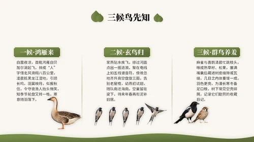 橄榄绿中国风二十四节气之白露节气知识讲座PPT模版