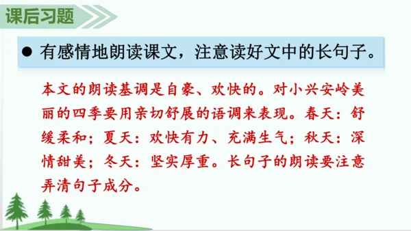 20.美丽的小兴安岭   课件