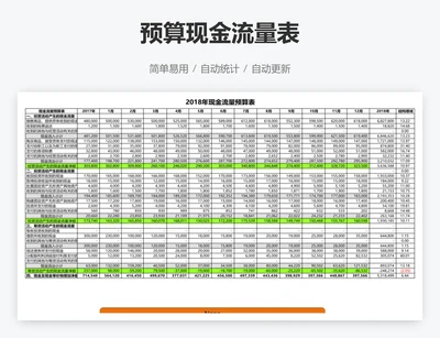 预算现金流量表