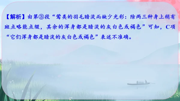19《大雁归来》课件