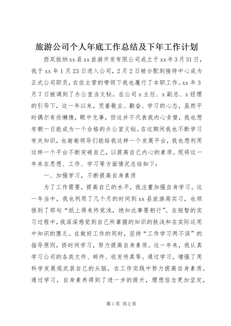 旅游公司个人年底工作总结及下年工作计划 (2).docx