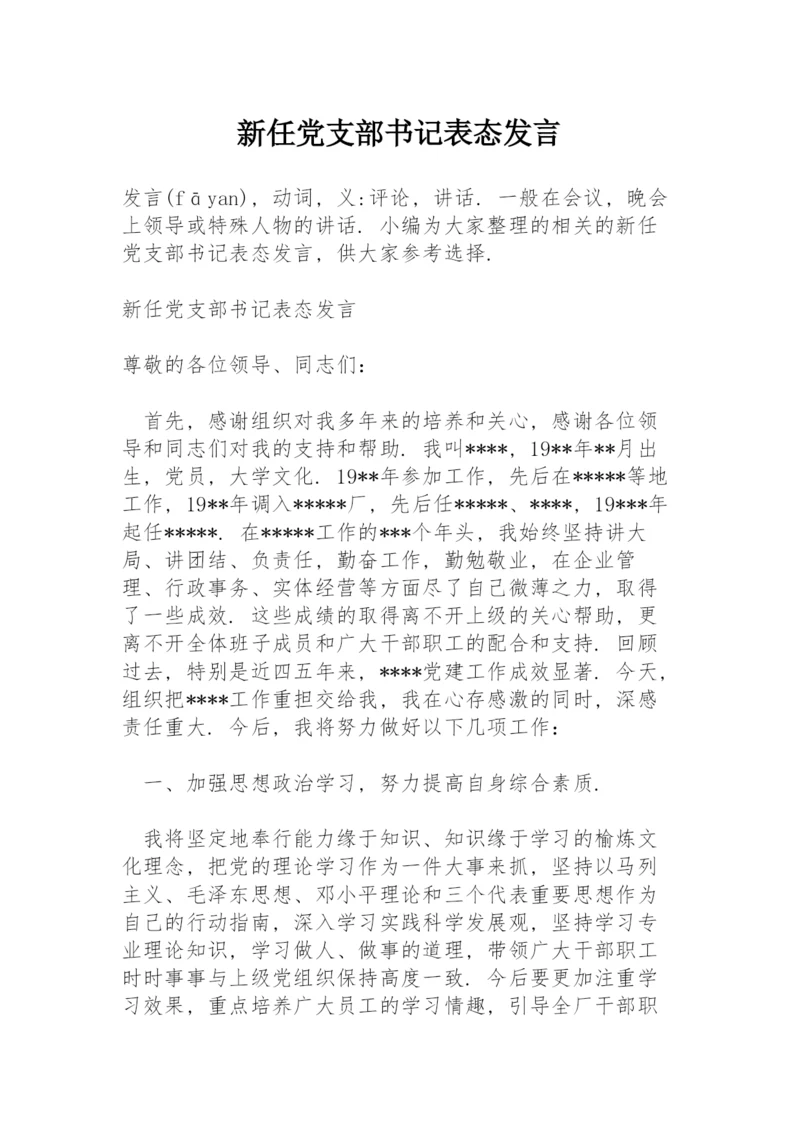 新任党支部书记表态发言.docx