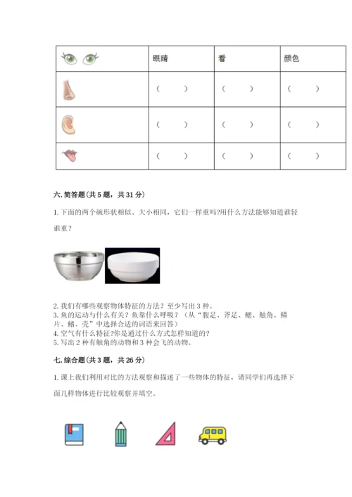 教科版小学科学一年级下册期末测试卷含答案【夺分金卷】.docx