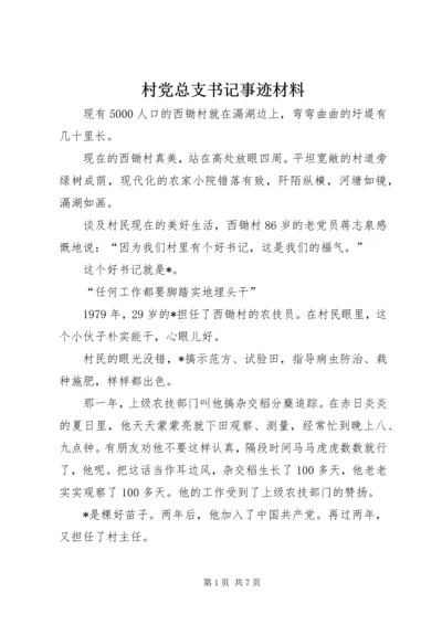 村党总支书记事迹材料.docx