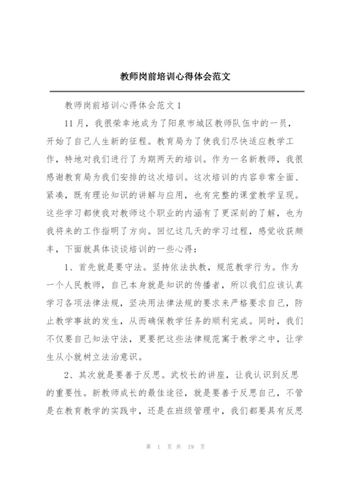 教师岗前培训心得体会范文.docx