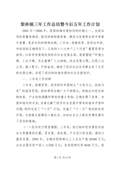 梨林镇三年工作总结暨今后五年工作计划 (3).docx