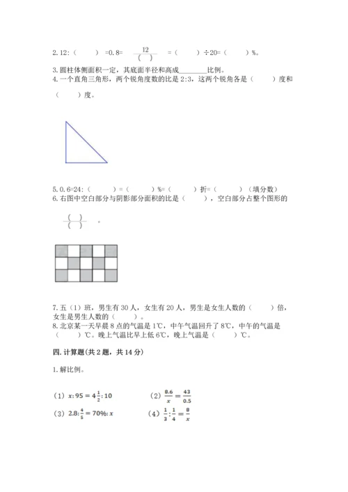 （小升初）六年级下册数学期末测试卷含完整答案（必刷）.docx