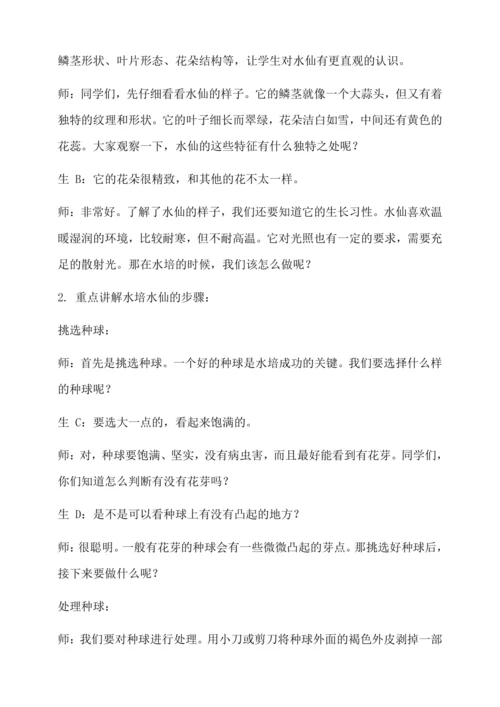 水培水仙 教学设计--人教版劳动四上