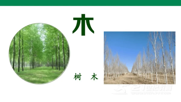 识字2  金木水火土  课件