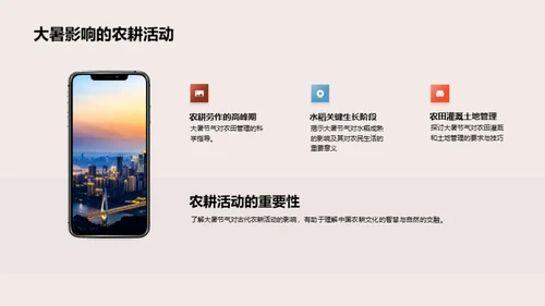 大暑节气与自然智慧