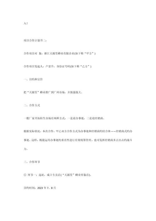 项目合作计划书.docx