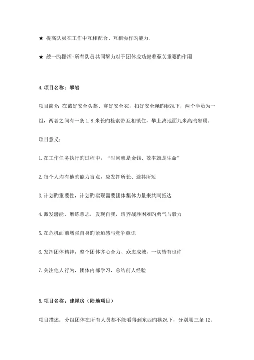 拓展活动项目.docx