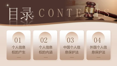 棕色简约商务风企业法律宣传培训个人信息保护法课件PPT模板