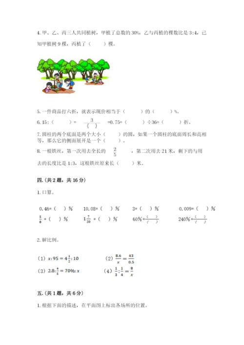 河南省平顶山市六年级下册数学期末考试试卷精品（综合题）.docx