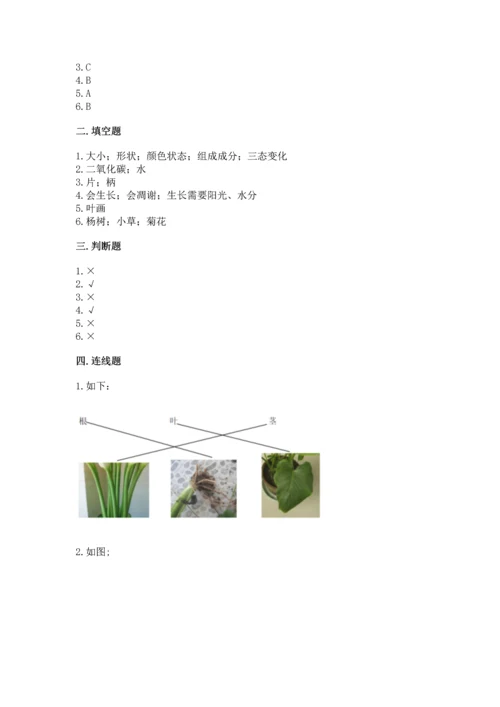 教科版科学一年级上册第一单元《植物》测试卷附参考答案（模拟题）.docx