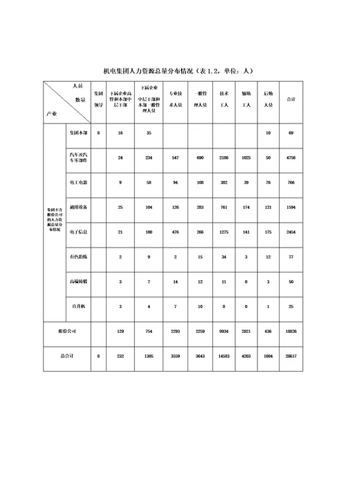 人才规划实施方案