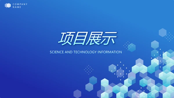 蓝色医疗科技信息化建设工作总结PPT