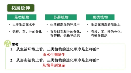 2.1.1藻类、苔藓植物和蕨类植物-七年级生物上学期同步优质课件（人教版2024）(共26张PPT)