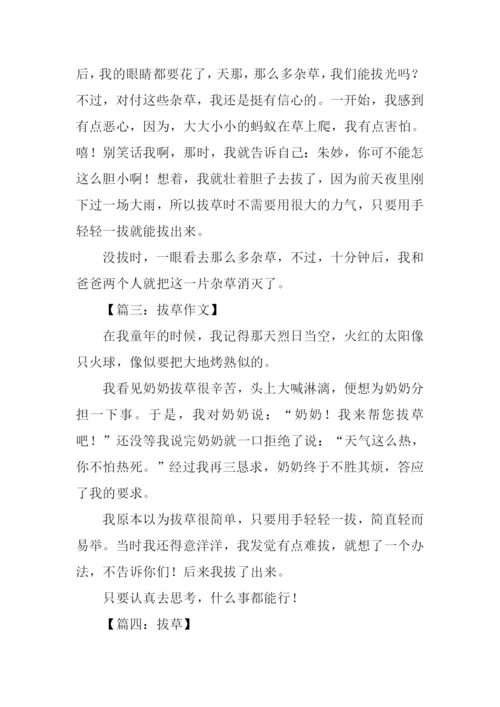 拔草作文200字0.docx