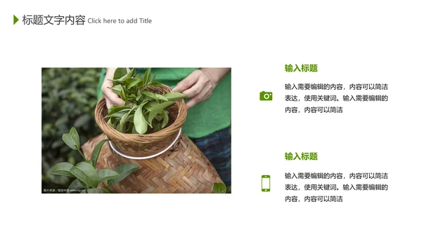 清新茶道展示茶文化茶馆动态PPT模板