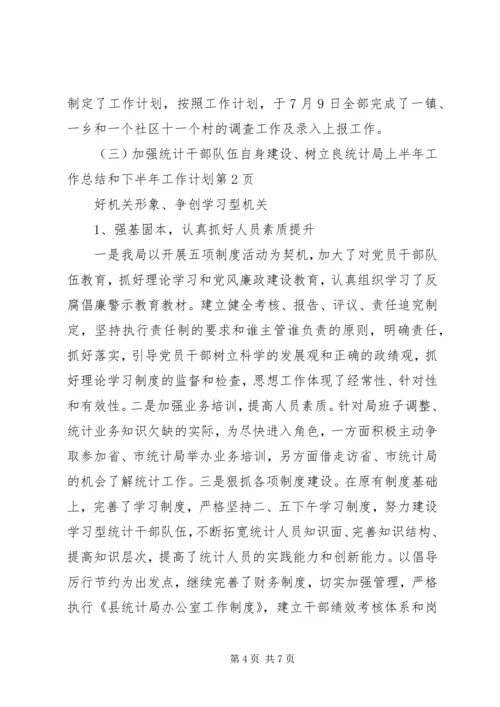 统计局上半年工作总结和下半年工作计划_1 (2).docx
