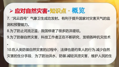 第二单元 爱护地球共同责任（复习课件）-2023-2024学年六年级道德与法治下学期期中专项复习（统