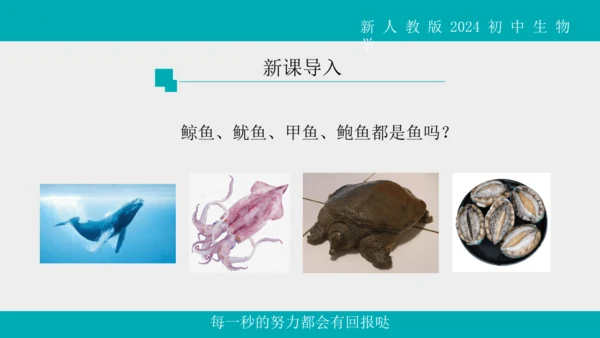 人教版生物七年级上册2.2.2《脊椎动物》（第1课时）课件(共42张PPT)+视频素材