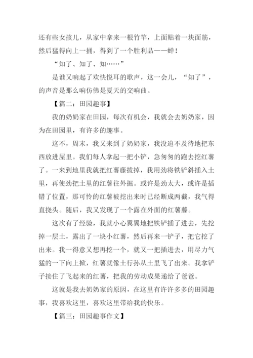 田园趣事作文.docx