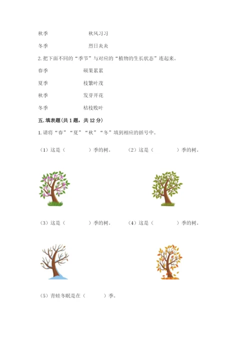 教科版小学二年级上册科学期末测试卷（含答案）.docx