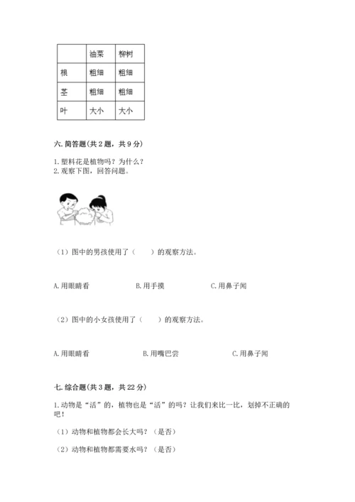 教科版科学一年级上册第一单元《植物》测试卷（易错题）.docx