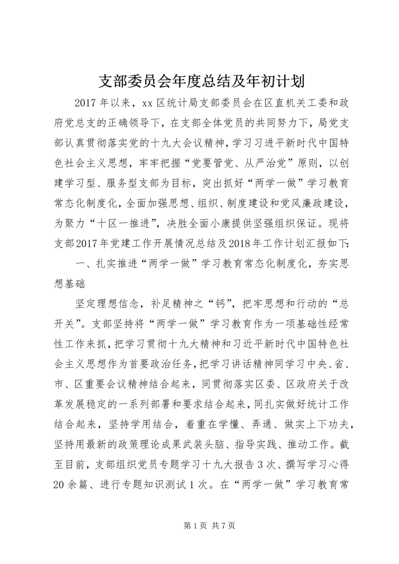 支部委员会年度总结及年初计划.docx