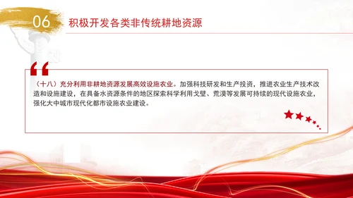 关于加强耕地保护提升耕地质量完善占补平衡的意见全文学习PPT课件