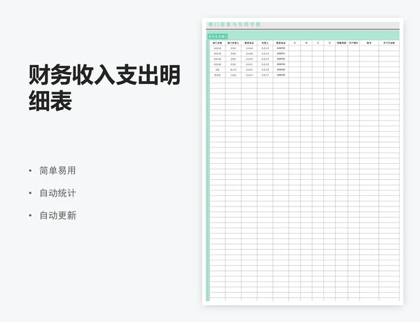 财务收入支出明细表