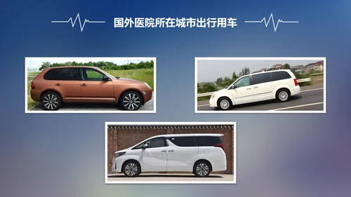 专业国际医疗机构PPT模板