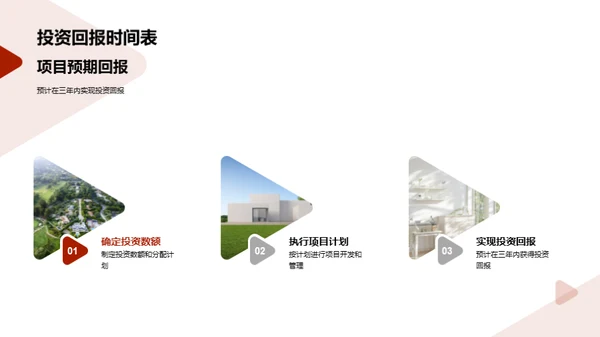 新项目投资展望