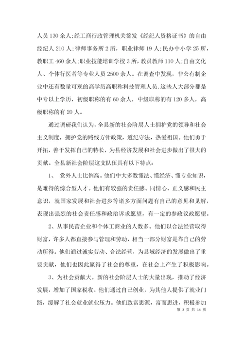 开展新的社会阶层人士统战工作调研报告范文.docx