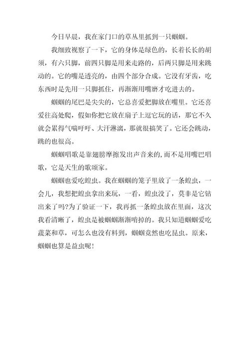 2024年观察日记昆虫600字范文