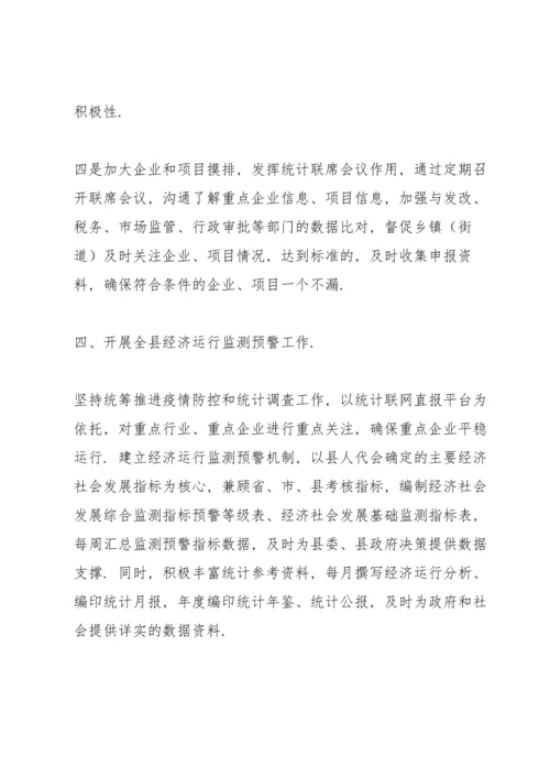 某县统计局2021年统计法制工作年度总结报告.docx