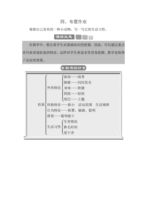 17 松鼠 教案