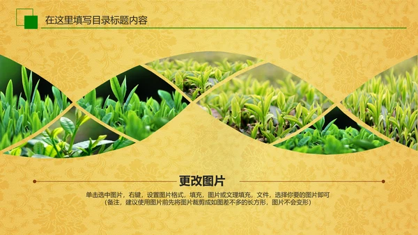 中国茶文化茶道展示茶知识PPT模板
