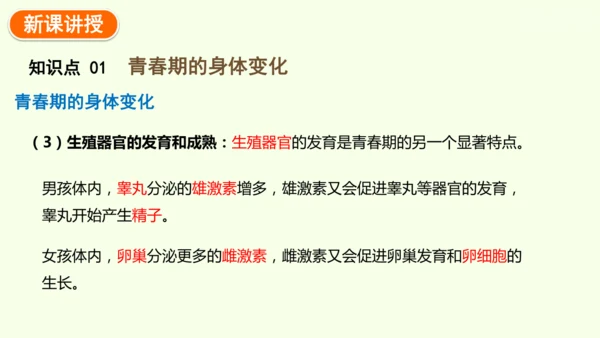 4.1.2 青春期-七年级生物下学期同步精品课件（2024人教版）(共27张PPT)