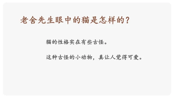 《猫》课件