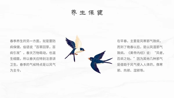 白色简约小清新传统二十四节气立春主题PPT模板