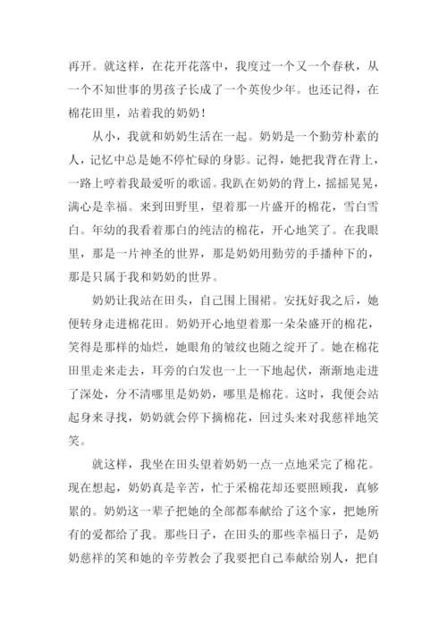 成长的记忆作文-2.docx