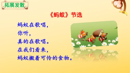 11 一块奶酪   课件