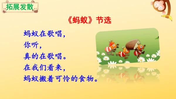 11 一块奶酪   课件