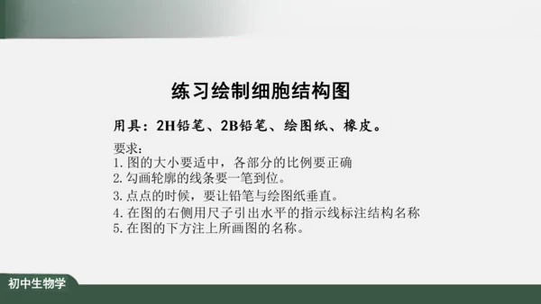 2.1.3 动物细胞 课件（共32张PPT）