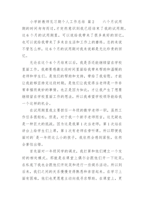 小学新教师见习期个人工作总结.docx