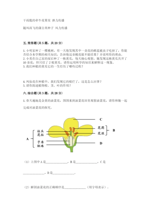 科学四年级下册第一单元植物的生长变化测试卷精品（实用）.docx